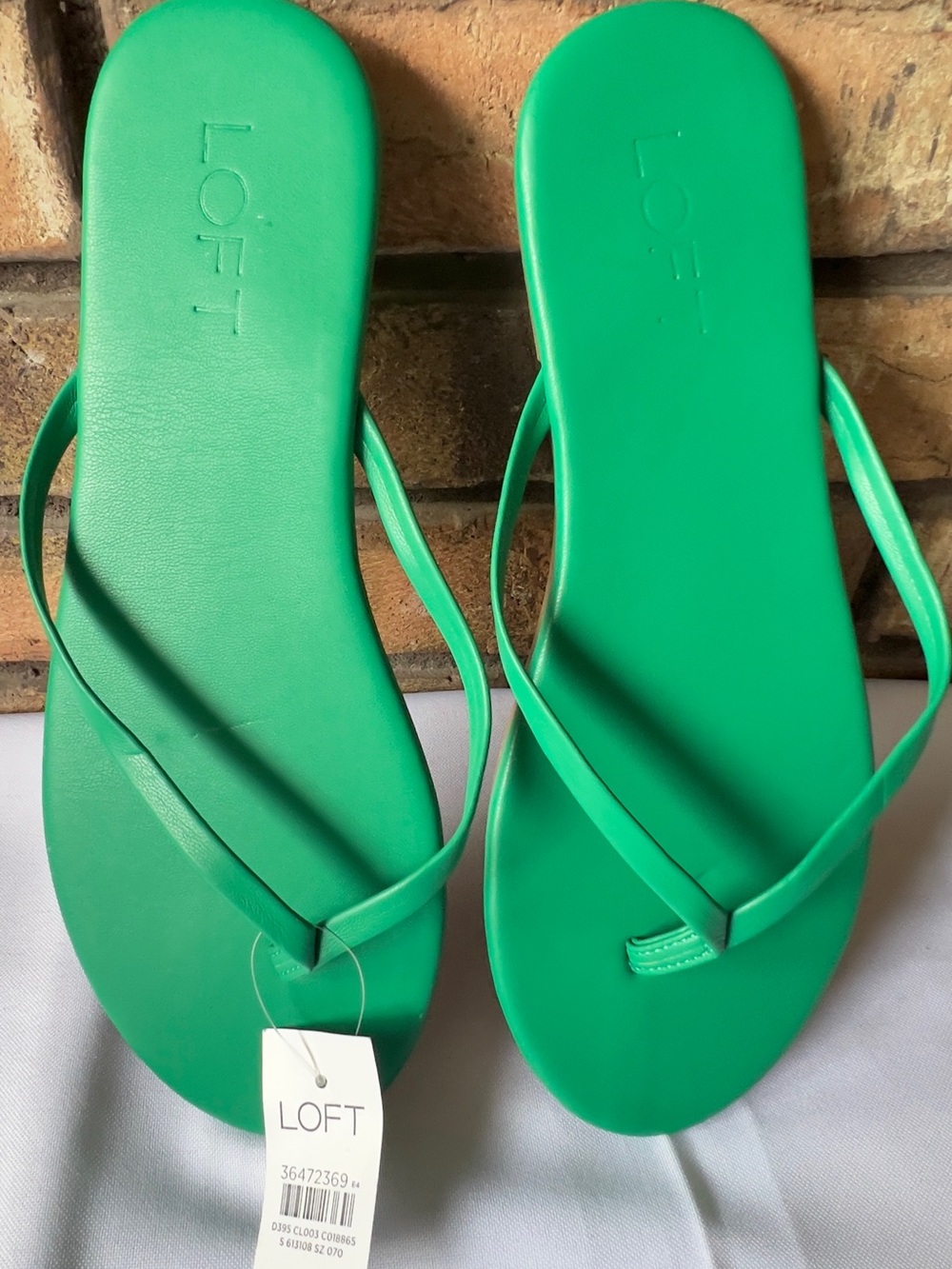 LOFT Kelly Green Simple Thong Sandals